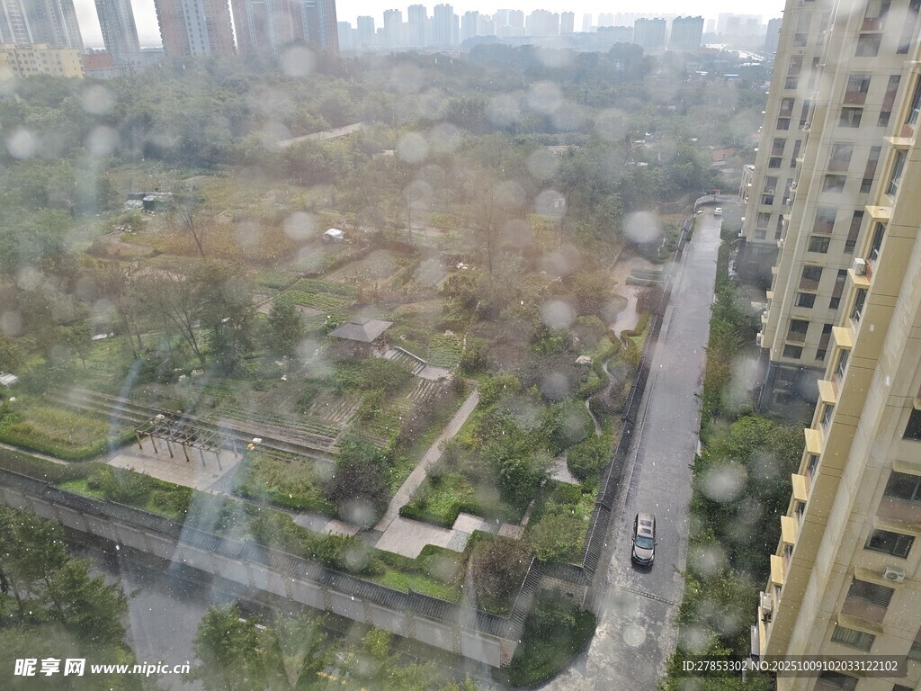 俯瞰城市中的绿化景观
