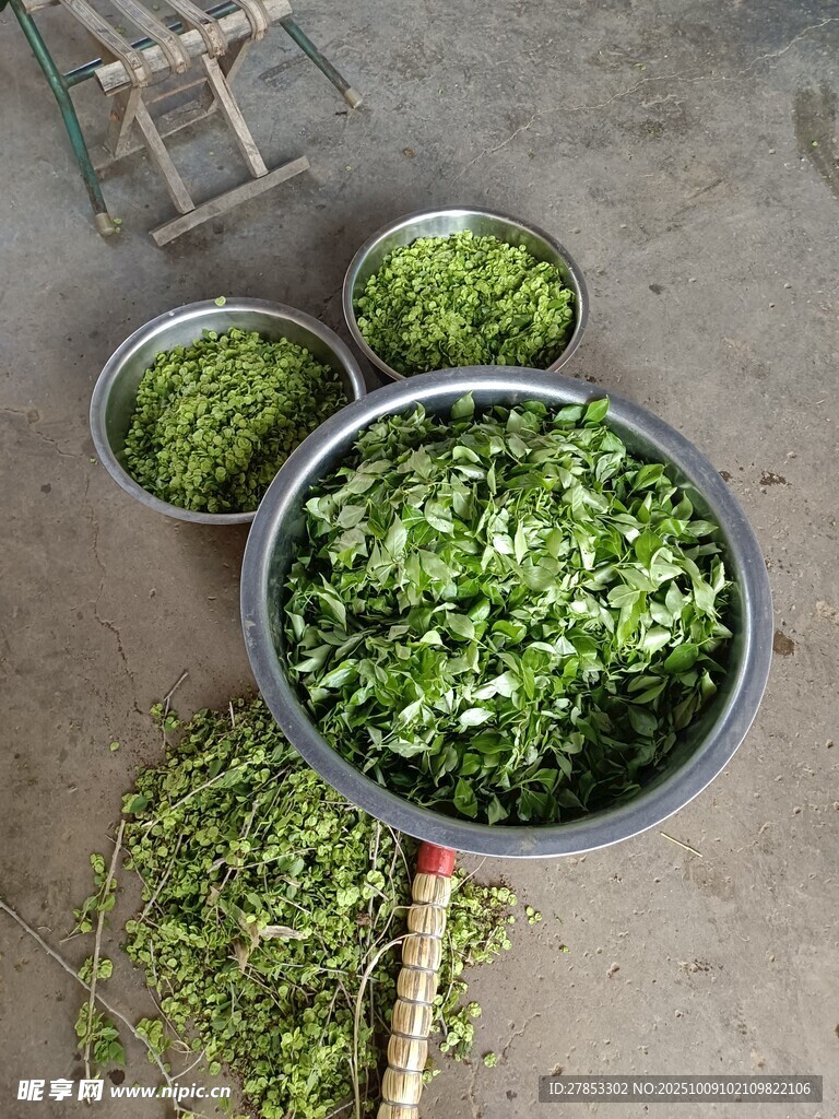 新鲜嫩绿蔬菜待售