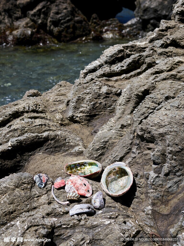 海边岩石上的杂物垃圾