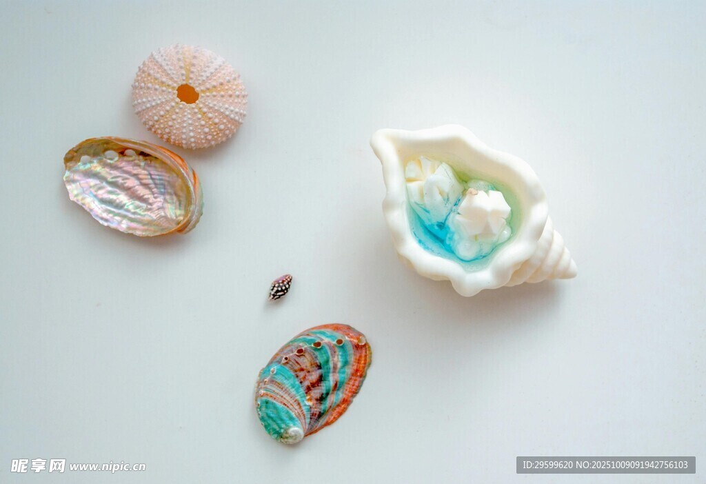 精美贝壳饰品展示