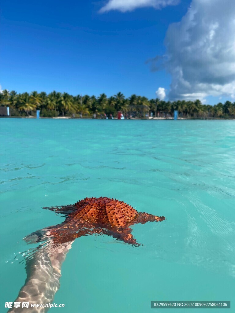 手托海星于碧海蓝天间