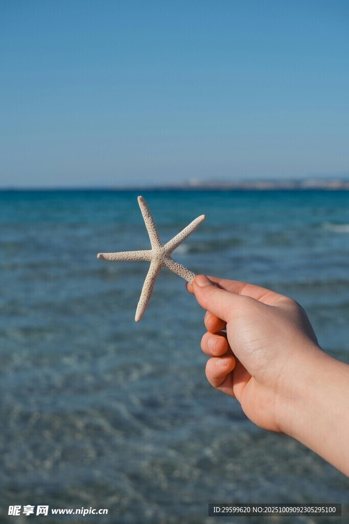 手托海星于碧海蓝天间