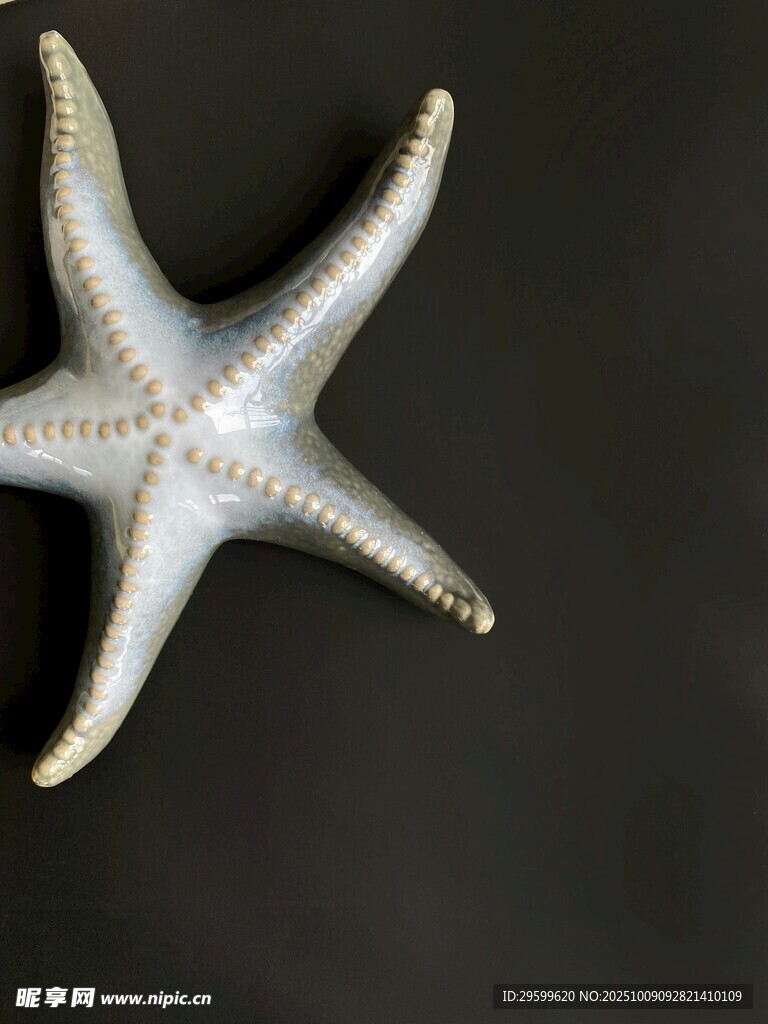 银色海星特写