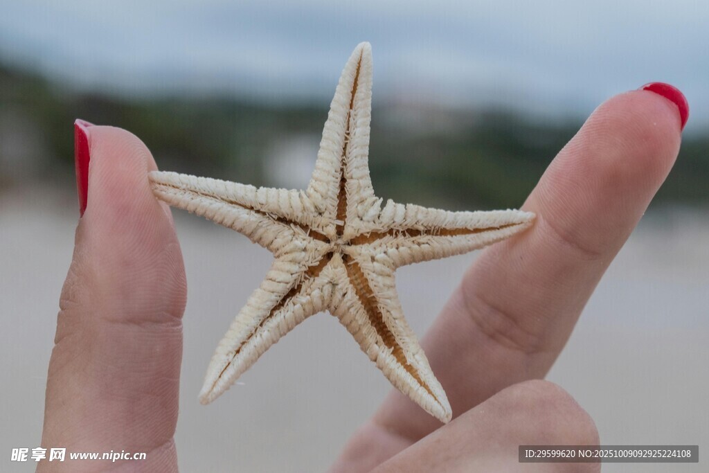 手捧海星的美丽瞬间