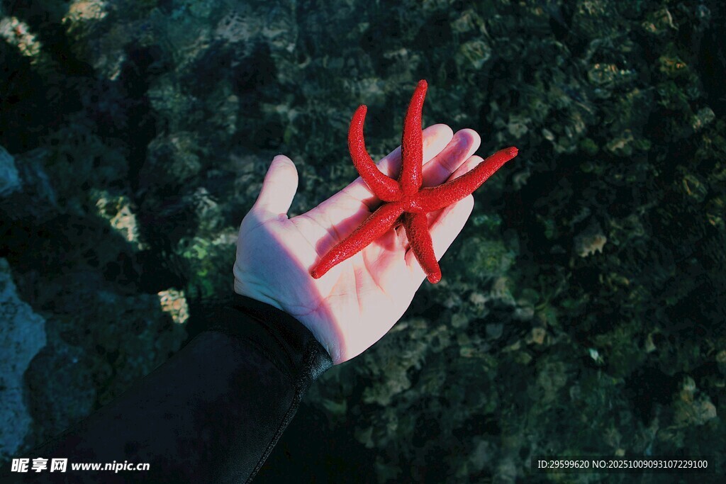 手捧海星于绿植背景中