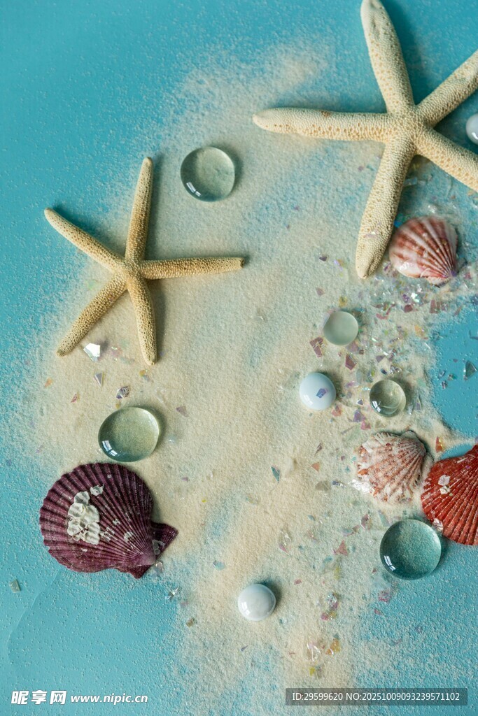 海星贝壳装点的梦幻沙滩