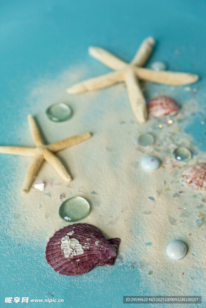 海星贝壳装点的梦幻海滩