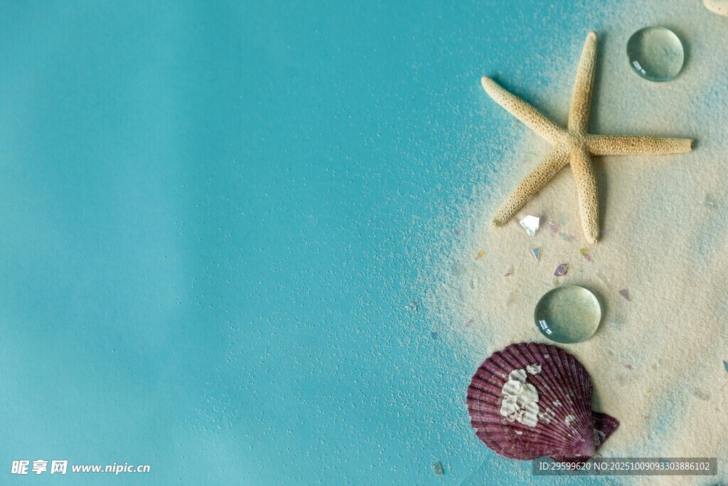 海边沙滩上的海星与贝壳