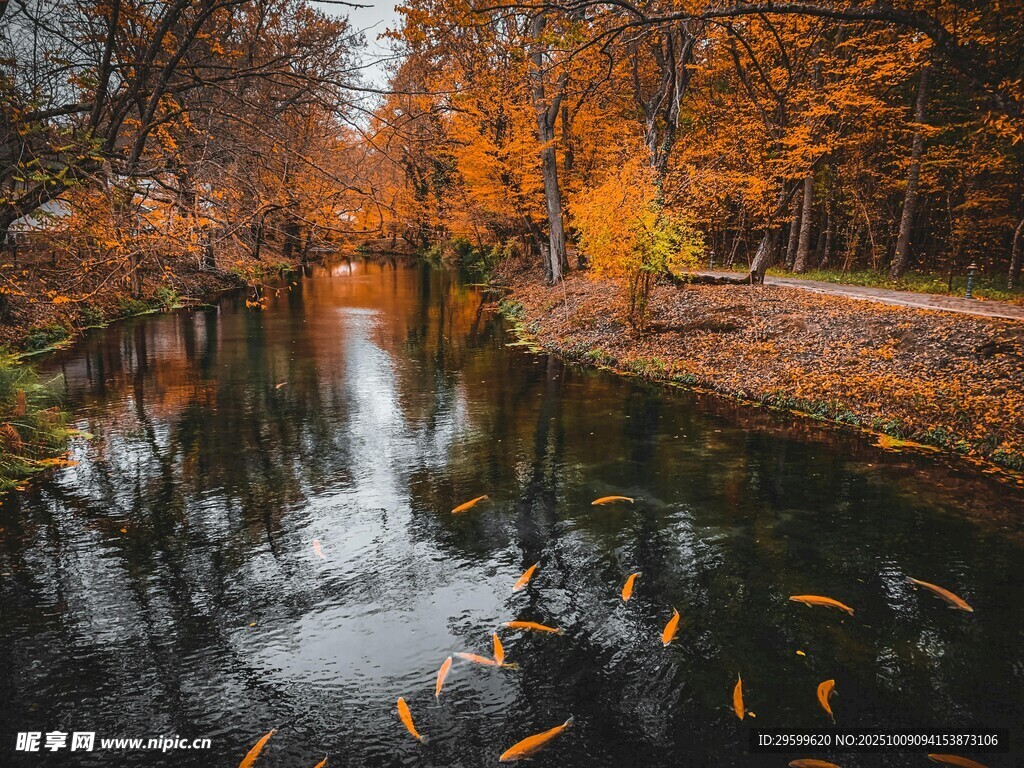 秋日河畔美景
