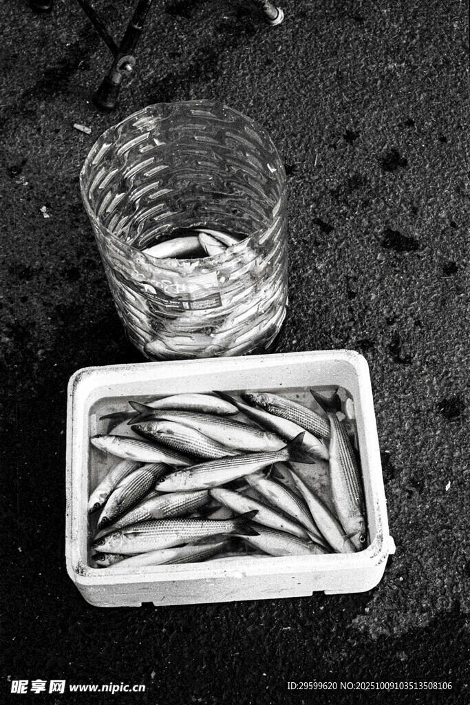 装满小鱼的容器与玻璃杯