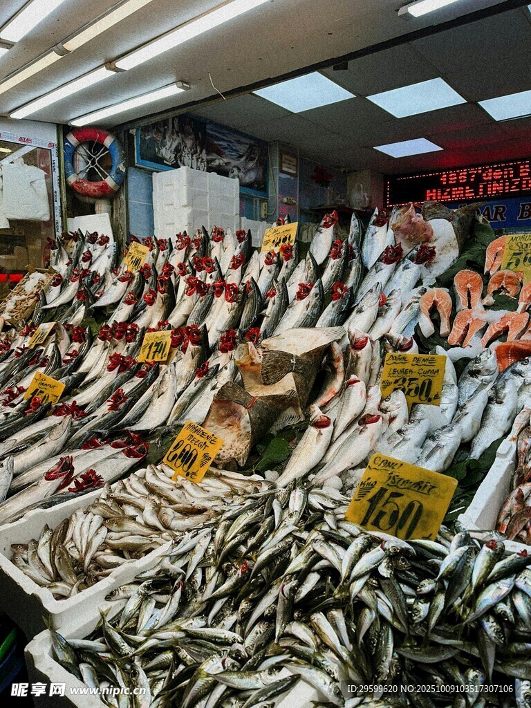 海鲜市场丰富多样的鱼类
