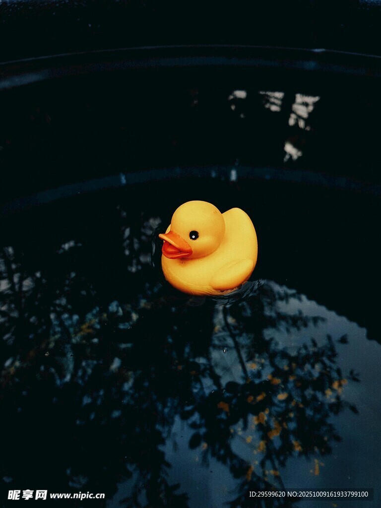 水中漂浮的小黄鸭玩具