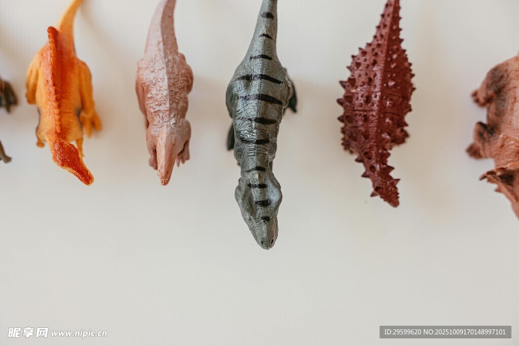 多样海洋生物模型展示