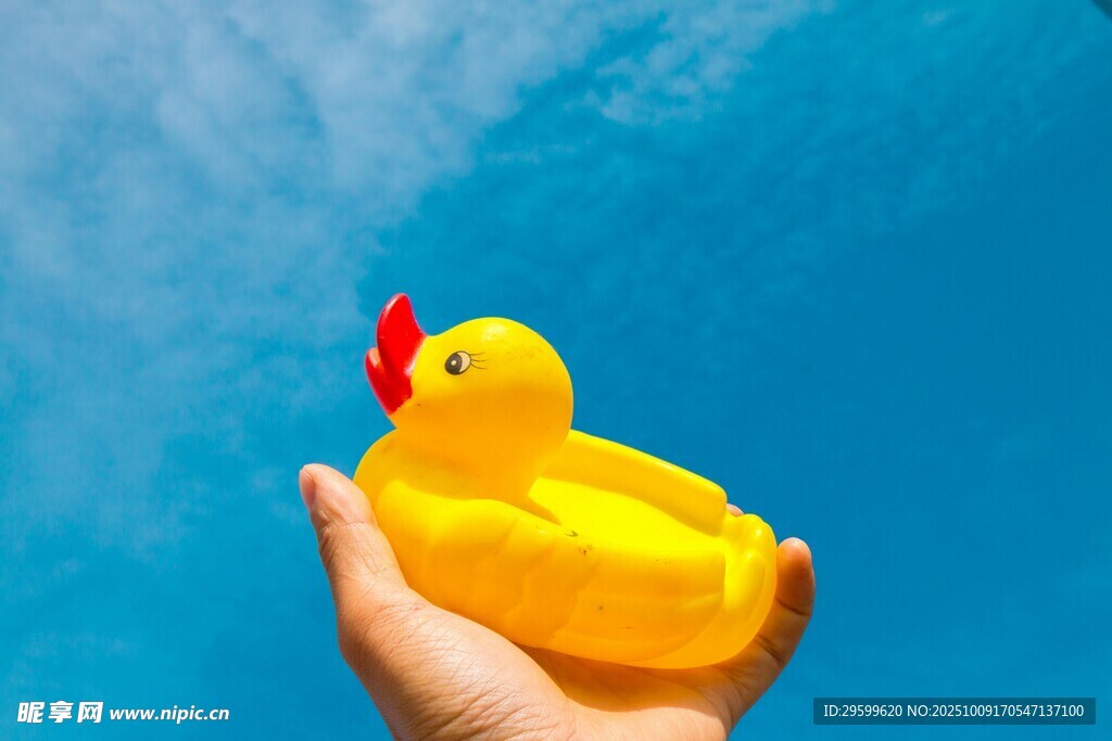 手托小黄鸭的清新画面