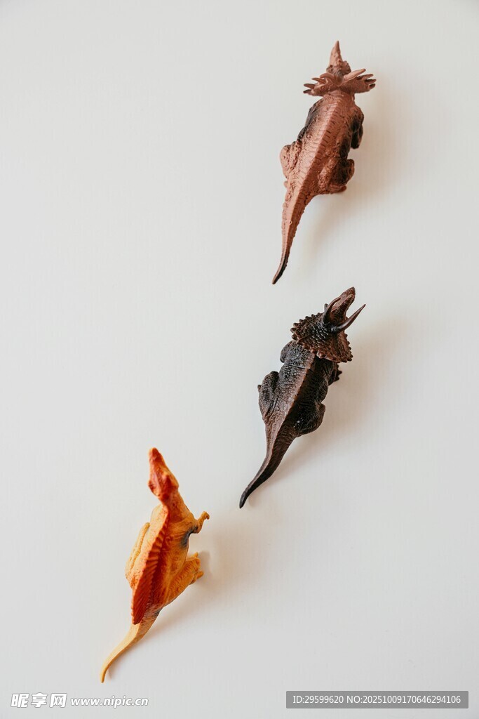 多彩枯叶造型独特