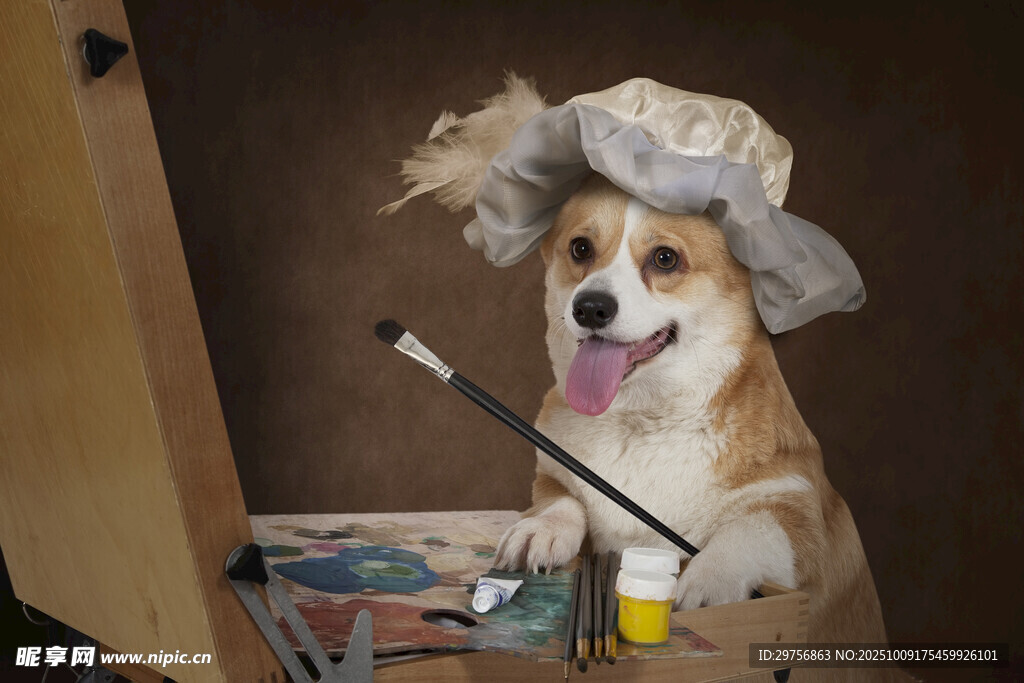 戴帽作画的可爱柯基犬