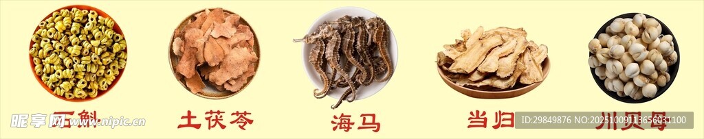 石斛土茯苓海马当归川贝母