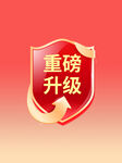 升级图标 