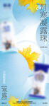 浪漫珍珠主题  节日