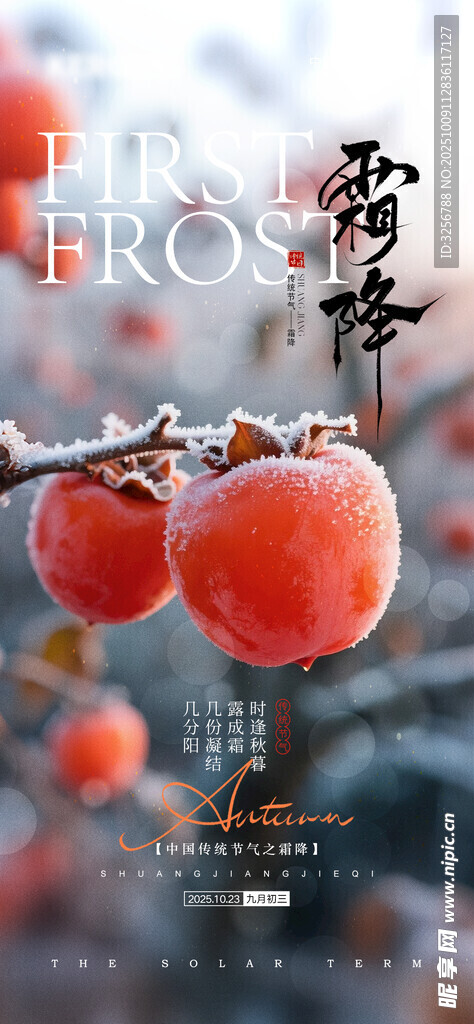  霜降海报 