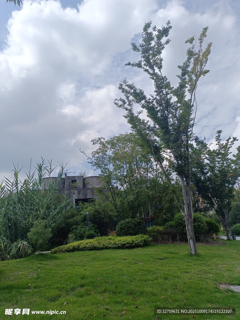 绿意盎然的户外风景