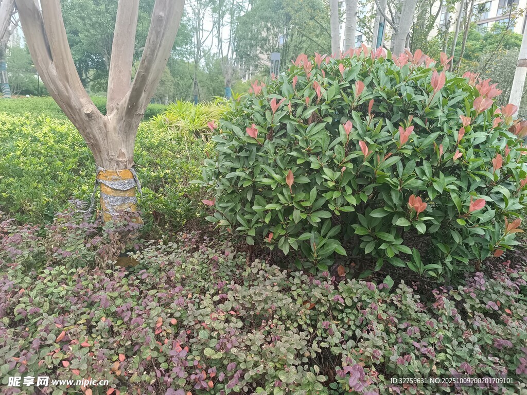 园林绿植景观一角