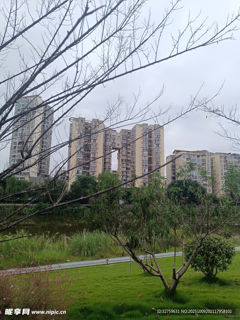 城郊住宅区的自然景致