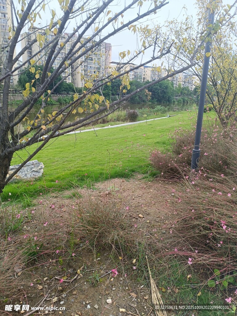户外绿意盎然的自然景致