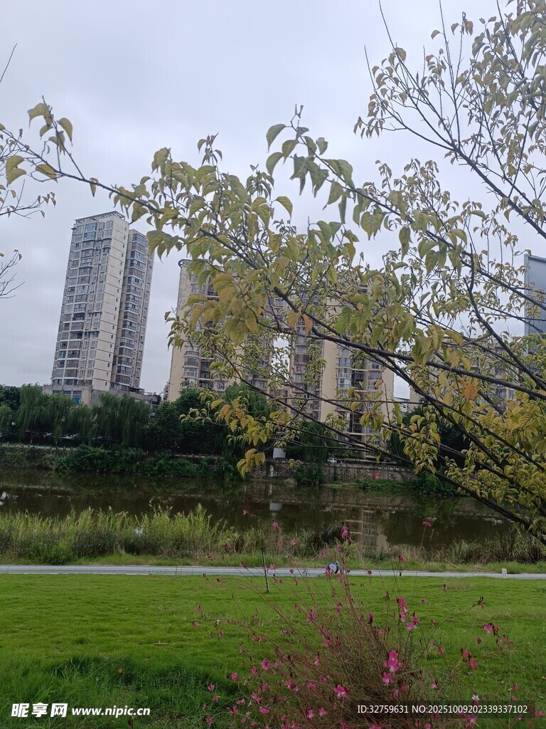 城市旁绿意盎然的草地景观