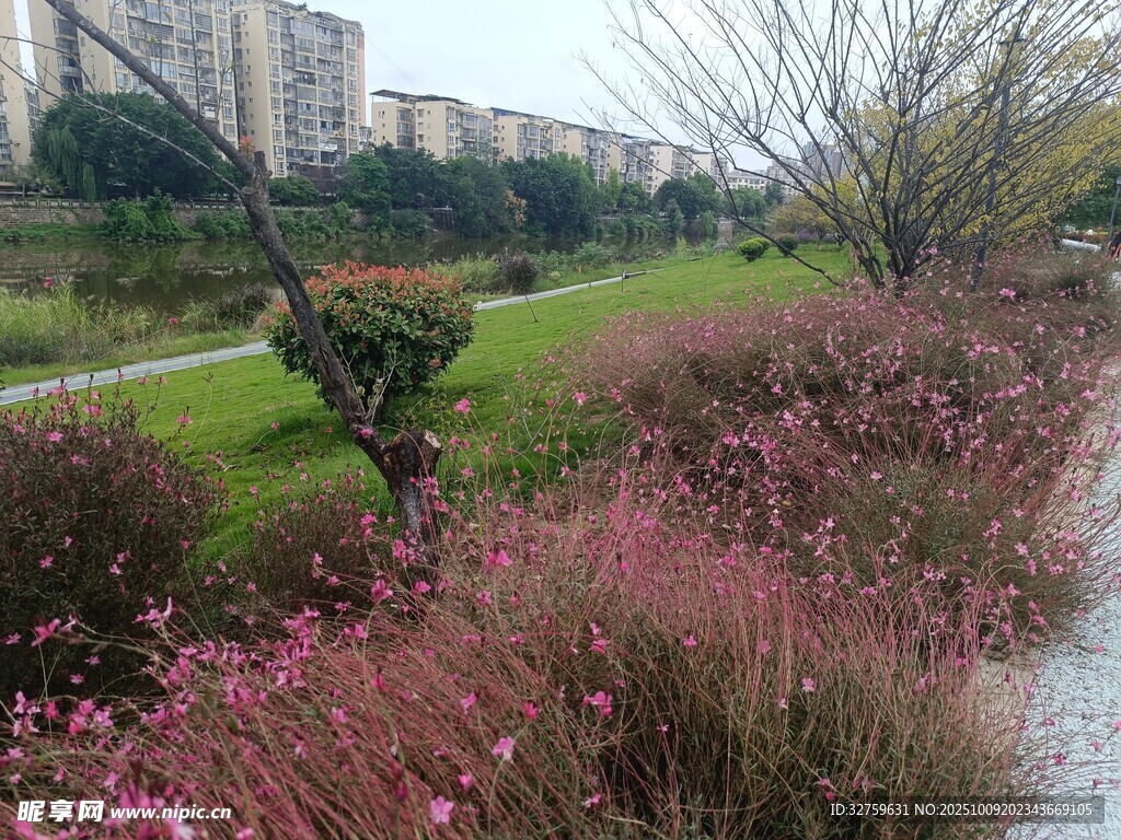 城市中美丽的花草景观