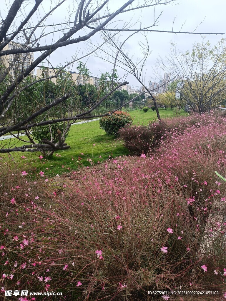粉色花丛与远处绿意景观