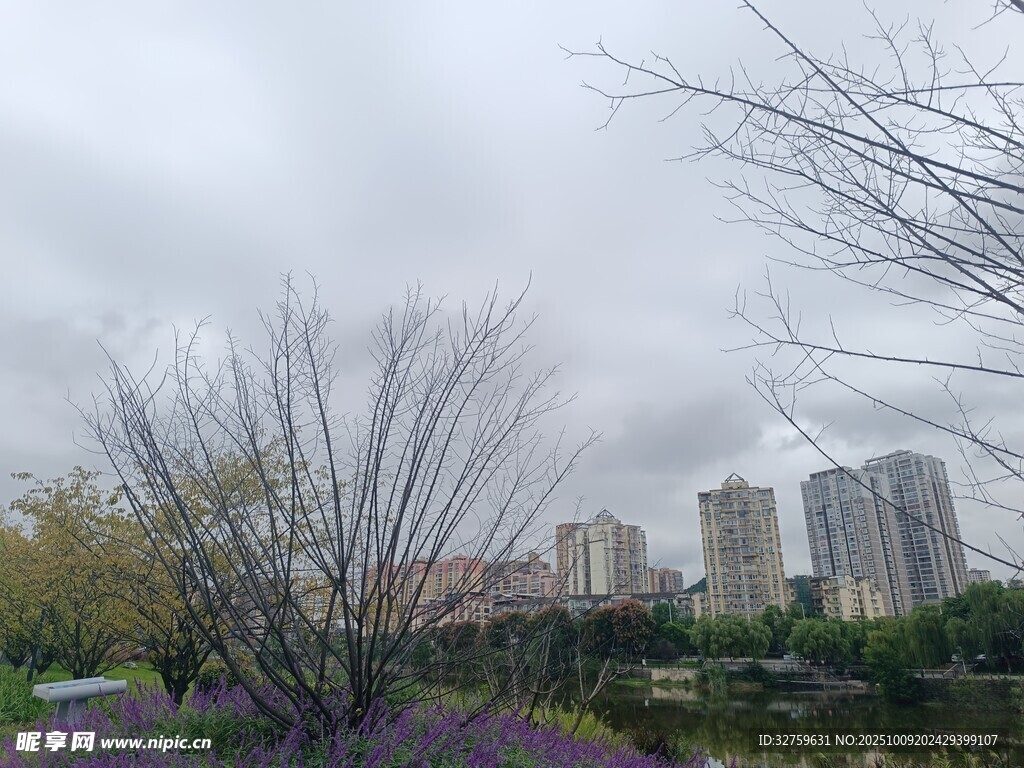 城市湖畔春景