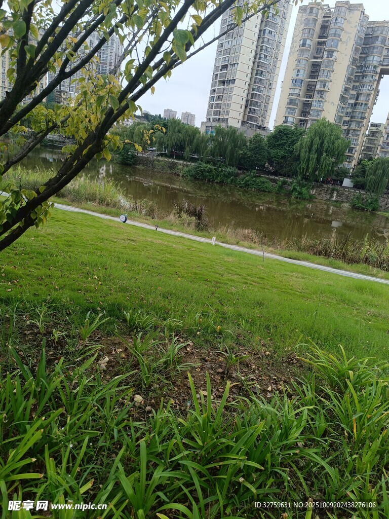 城市湖畔绿意盎然景致