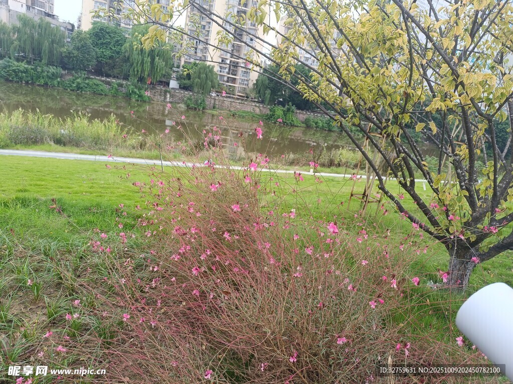 公园绿植景观