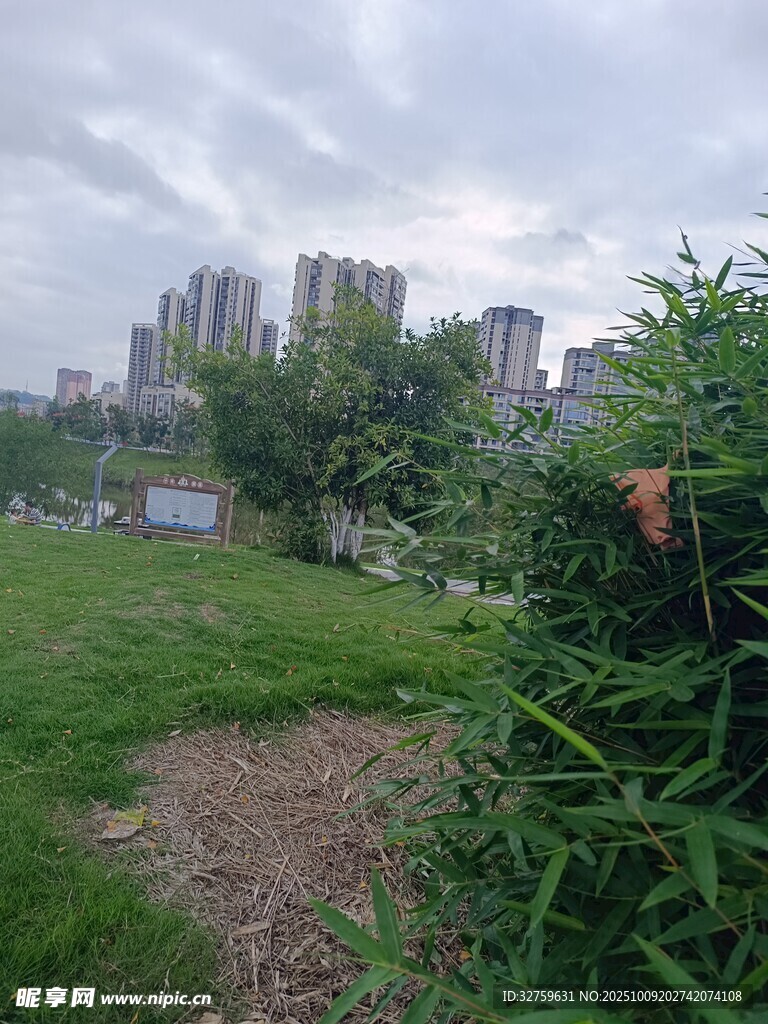 城市绿地中的自然景致