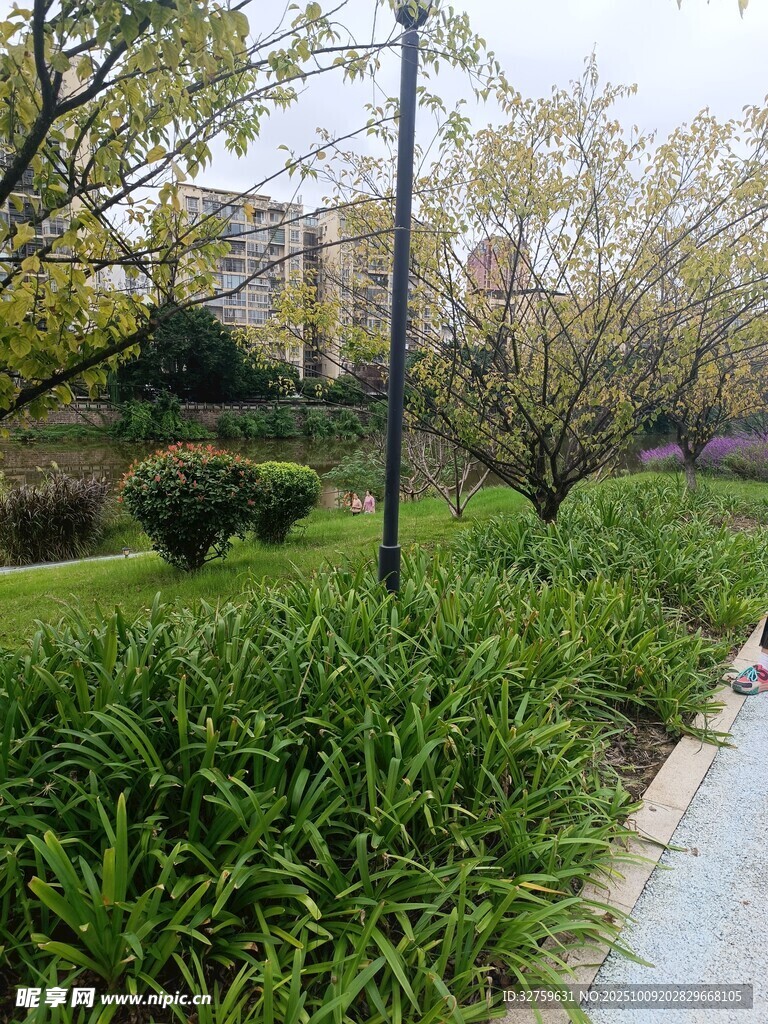 城市中的静谧绿植小径