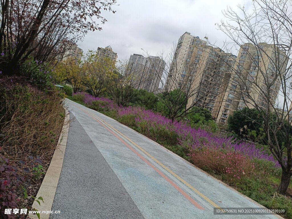 城市郊外的静谧小路风光