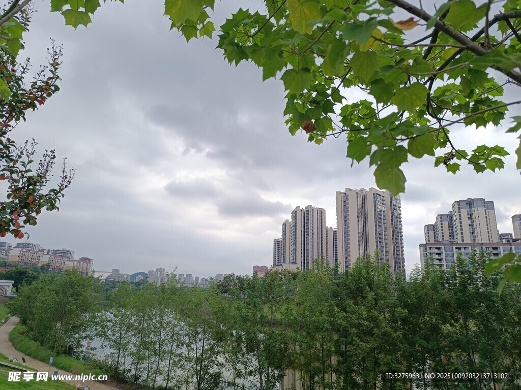 城市河畔绿树与高楼景观