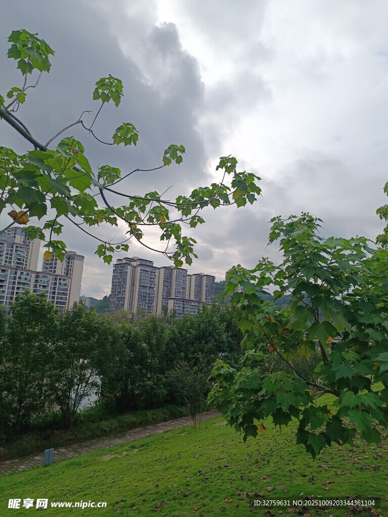 城市绿地间的阴云景致