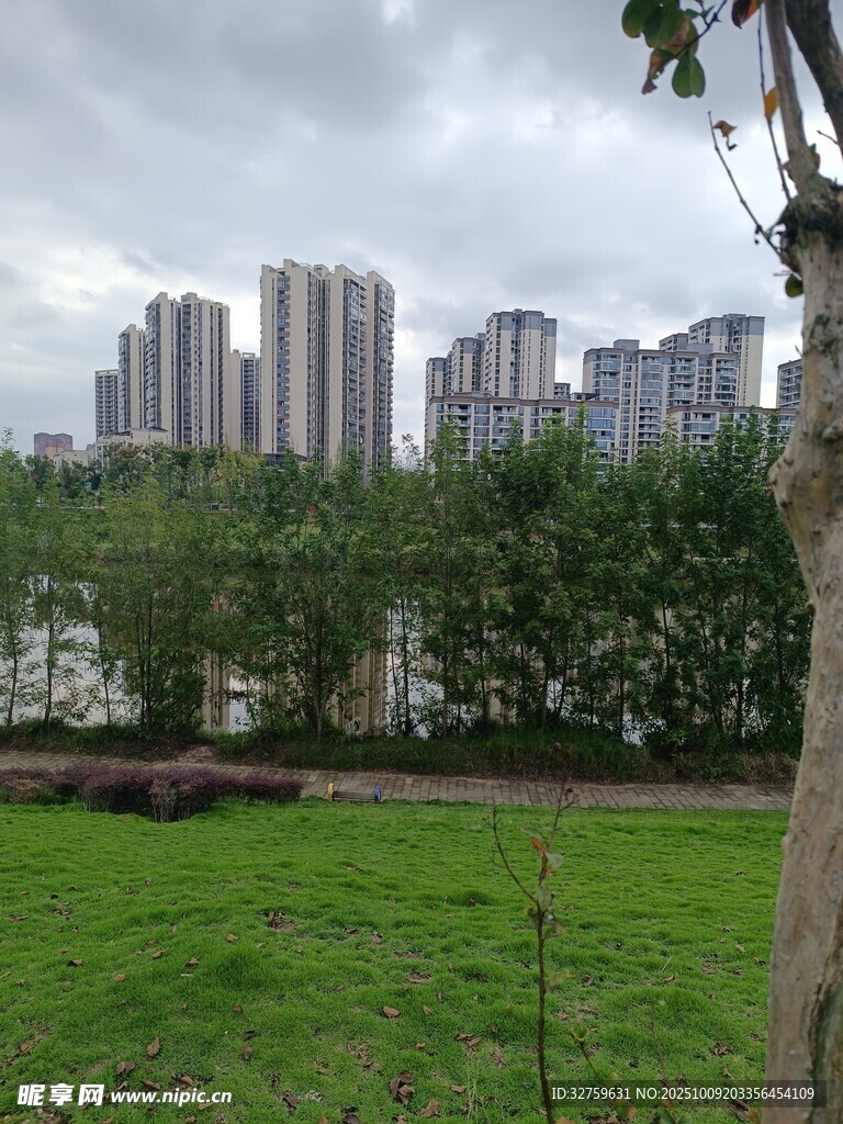 城市绿地旁的高楼景观