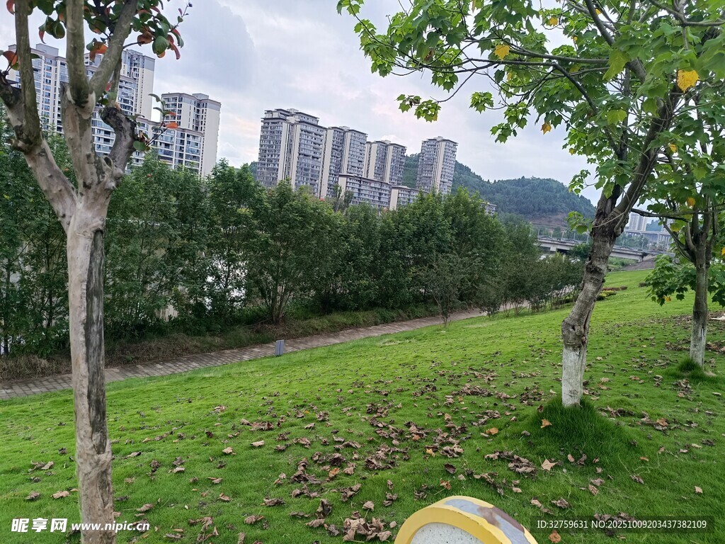 城市公园绿意盎然景致