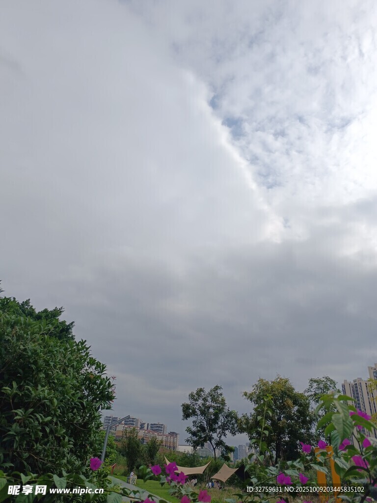 阴天花园景色