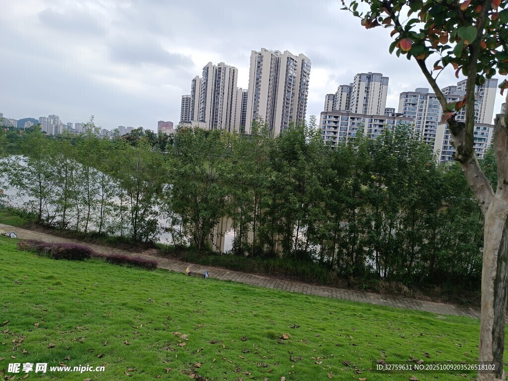 城市河畔绿地景观
