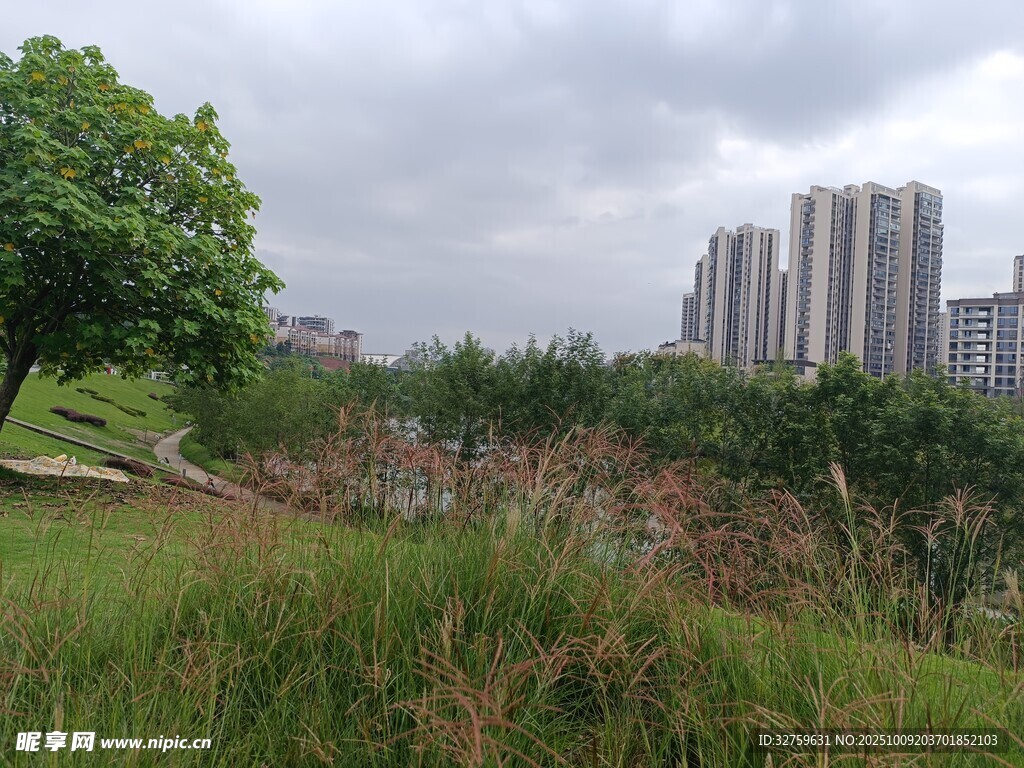城市中的自然绿地景观