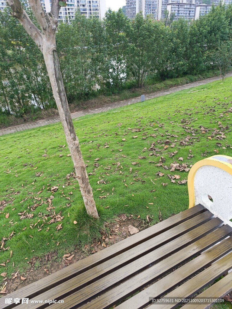 户外木质长椅与绿植景观