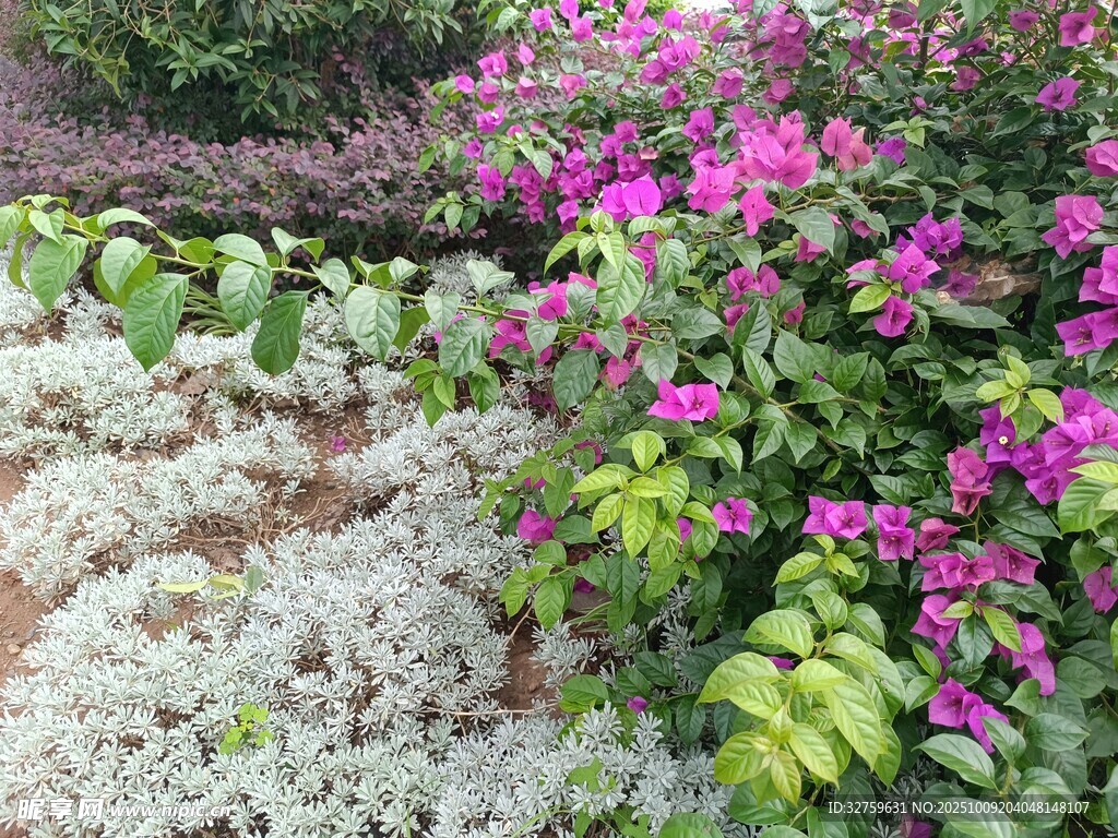 多彩花卉绿植景观