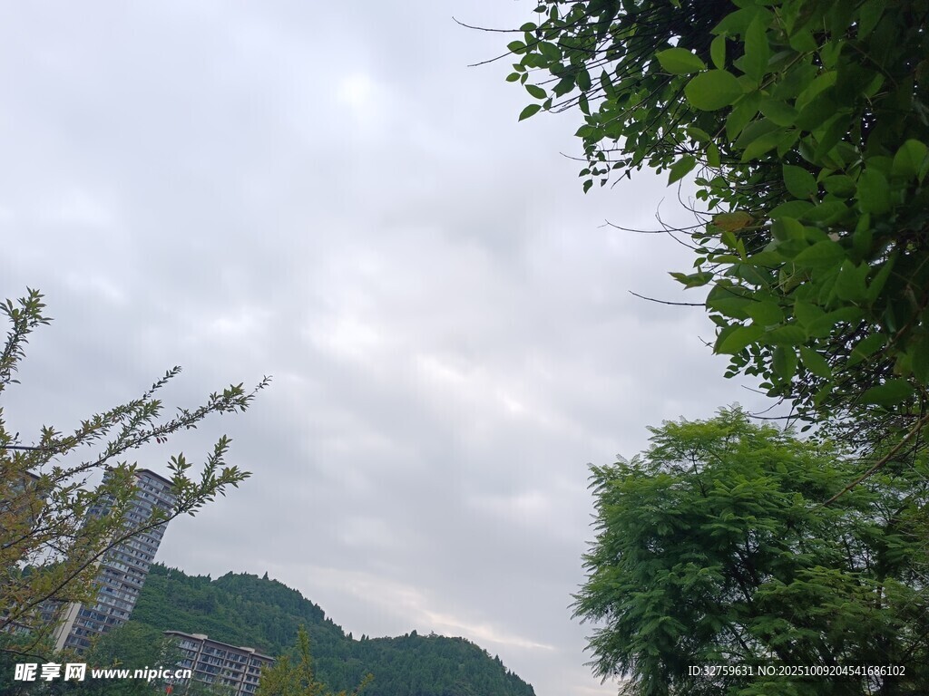 山林间的吊车与绿植景观
