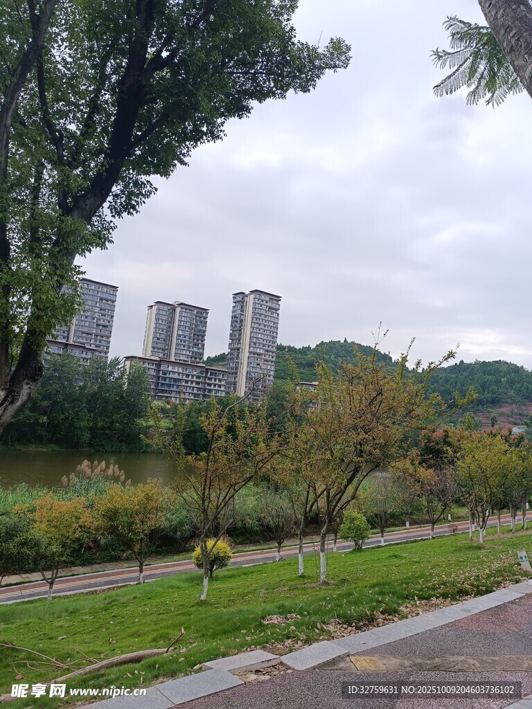 城市边的绿意盎然景致