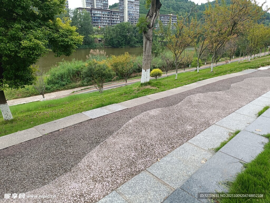 城市林荫下的整洁步道