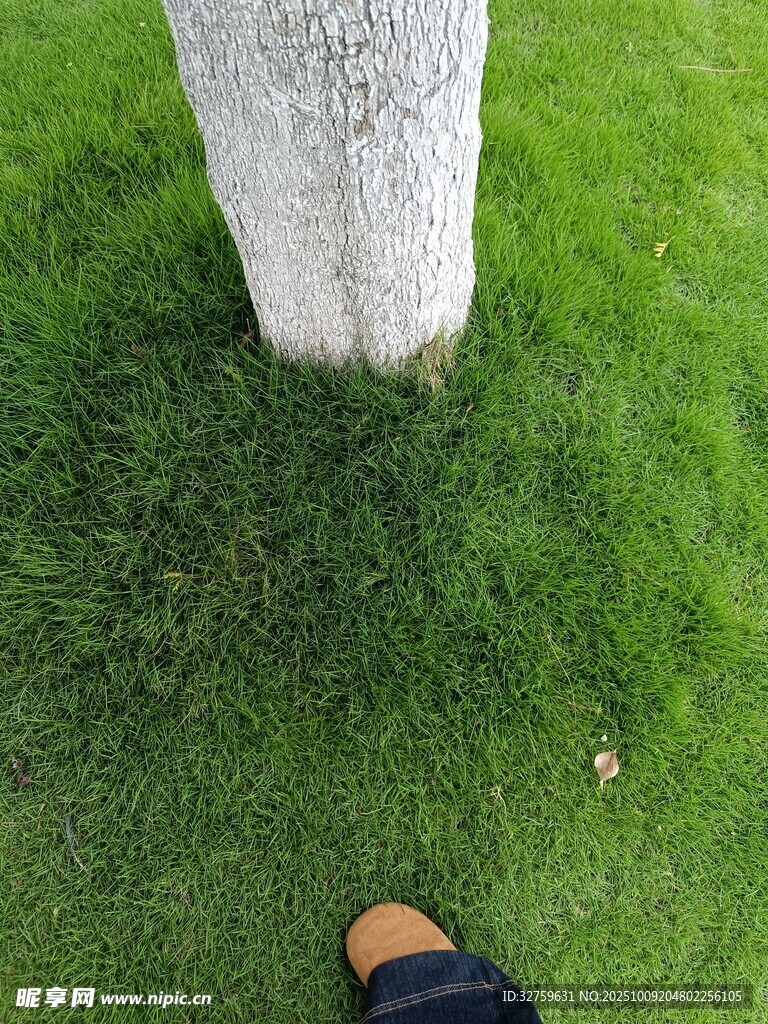 脚边的绿草与白色物体